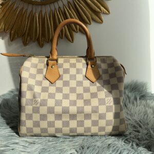Louis Vuitton Speedy 25 Damier Azur