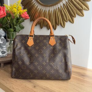 Louis Vuitton Speedy 30 Monogram Canvas