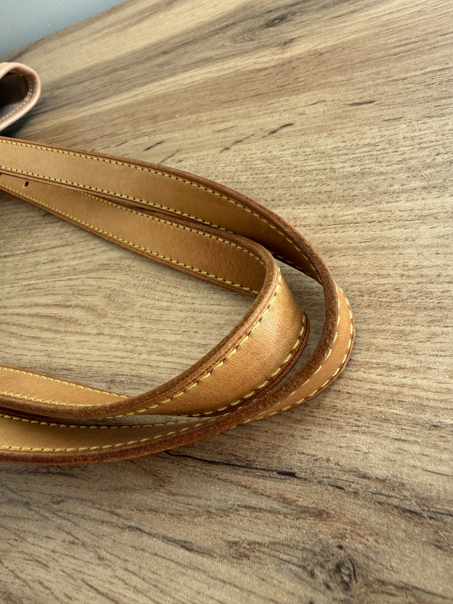 LOUIS VUITTON Monogram Bucket GM - Image 9